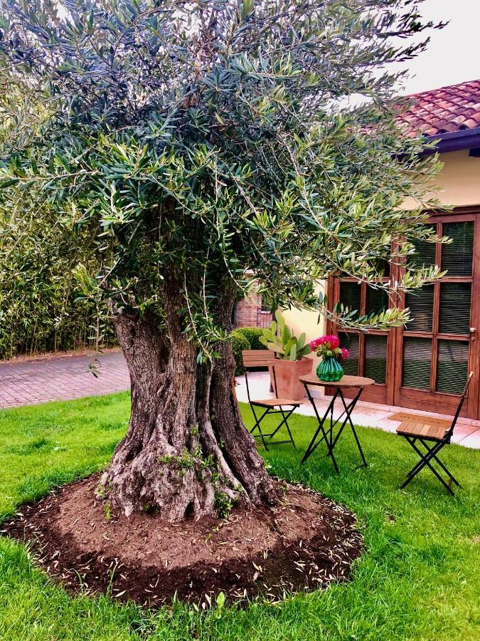 Maison Silvia * Villorba